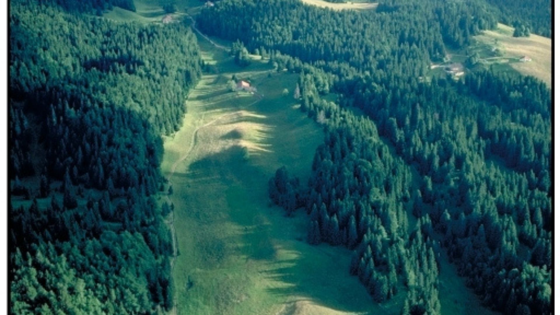 parc-haut-jura